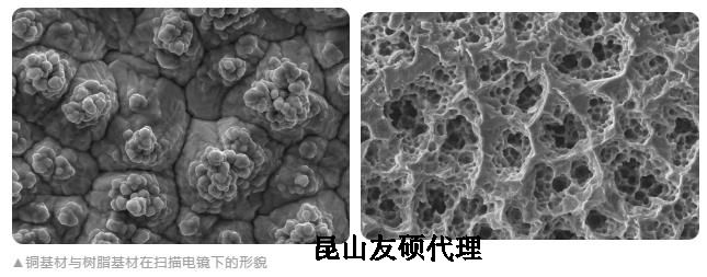 池州蔡司池州扫描电镜