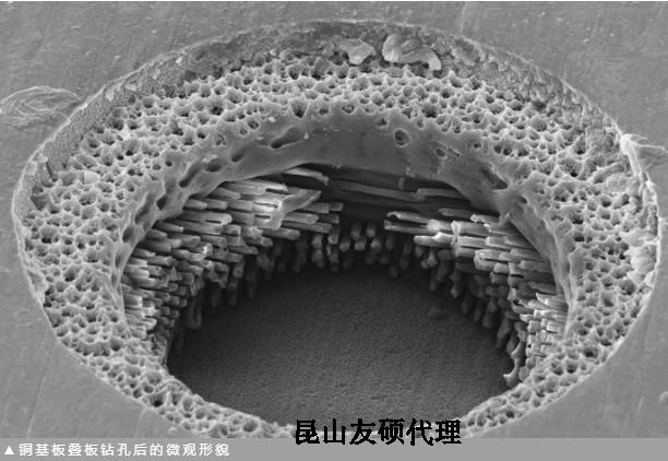 池州蔡司池州扫描电镜